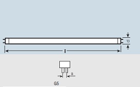 �������. �����