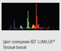  ������ ���� �����