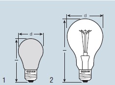 �������. �����