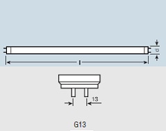 �������. �����