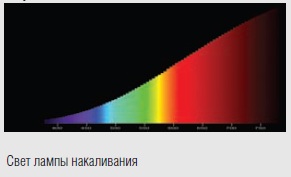  ������ ���� �����