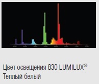  ������ ���� �����