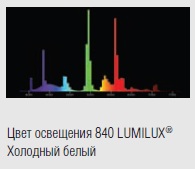  ������ ���� �����