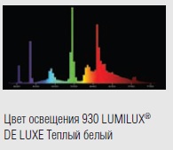  ������ ���� �����